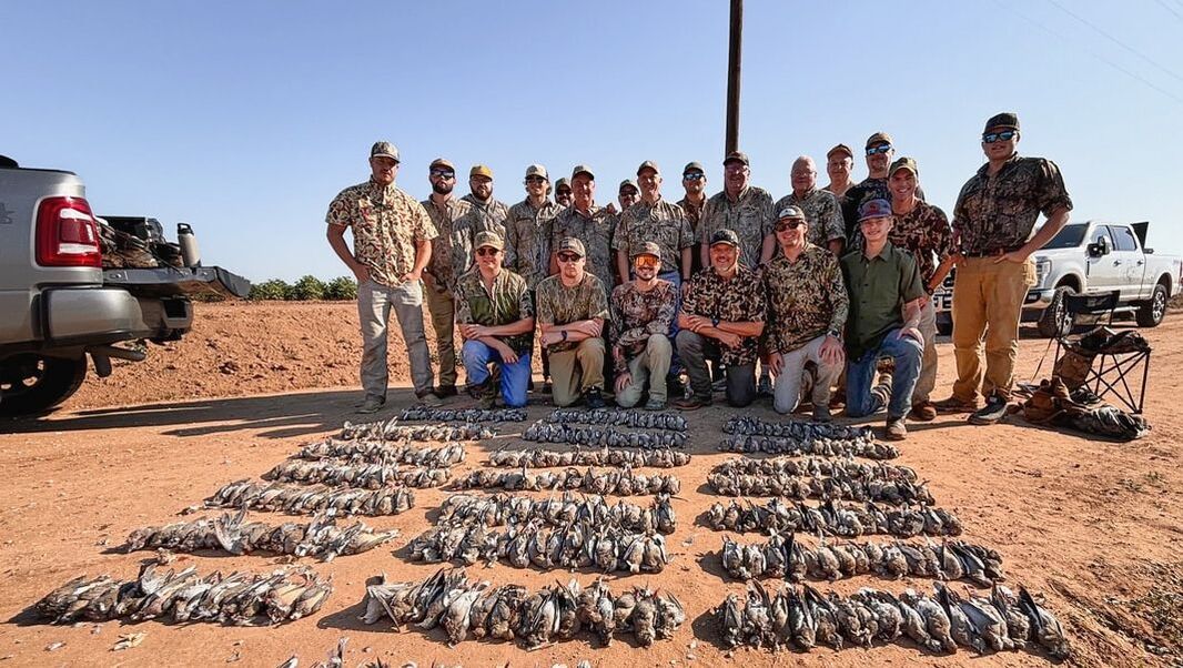 Book The Wild hunting opportunity