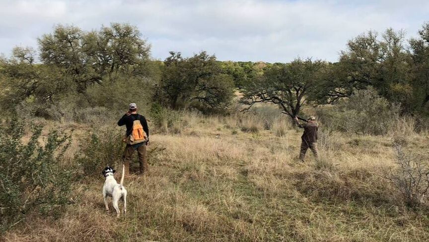 Good Bull Ranch hunting opportunity