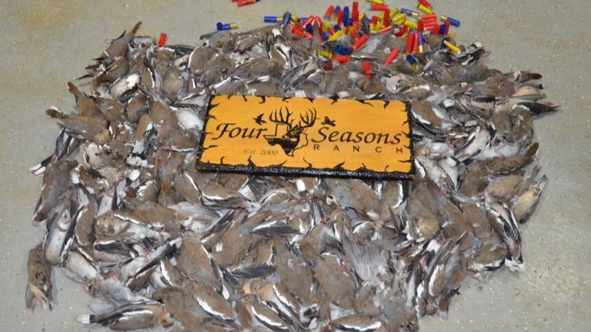 Four Seasons Ranch hunting opportunity